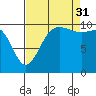Tide chart for Ayock Point, Hood Canal, Washington on 2021/08/31