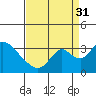 Tide chart for Holt, Whiskey Slough, San Joaquin River Delta, California on 2021/08/31
