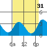 Tide chart for Holt, Whiskey Slough, California on 2022/08/31