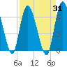 Tide chart for Bailey Cut 0.8 mile west, Satilla River, Georgia on 2023/08/31