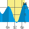 Tide chart for Hood Canal, Belfair, Washington on 2021/08/11