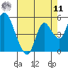 Tide chart for Point Buckler, California on 2022/08/11