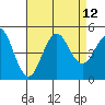 Tide chart for San Diego, California on 2021/08/12