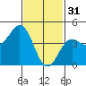 Tide chart for San Diego, California on 2023/01/31