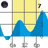 Tide chart for Santa Barbara Island, California on 2024/05/7