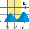 Tide chart for White Slough, Paradise Point, San Joaquin River, California on 2021/01/31