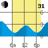 Tide chart for White Slough, Paradise Point, San Joaquin River, California on 2021/07/31