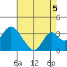 Tide chart for White Slough, Paradise Point, San Joaquin River, California on 2021/08/5