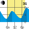 Tide chart for Stella, Columbia River, Washington on 2021/07/31