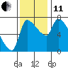 Tide chart for Stella, Columbia River, Washington on 2021/11/11