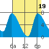 Tide chart for Stella, Columbia River, Washington on 2023/08/19