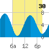 Tide chart for Thomas Landing, S. Newport River, Georgia on 2021/06/30