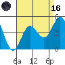 Tide chart for Ventura Beach, California on 2023/08/16