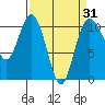 Tide chart for Whitney Point, Dabob Bay, Washington on 2021/03/31