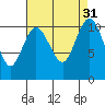 Tide chart for Whitney Point, Dabob Bay, Washington on 2022/08/31
