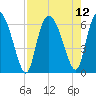 Tide chart for Wolf Island, Georgia on 2021/08/12