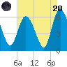 Tide chart for Wolf Island, Georgia on 2022/07/28