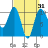 Tide chart for Zelatched Point, Dabob Bay, Washington on 2021/03/31