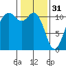 Tide chart for Quartermaster Marina, Washington on 2023/01/31