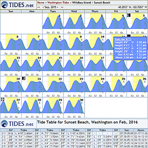 Charting The Tides Worksheet