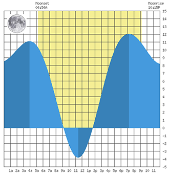 Detailed daily tide chart example